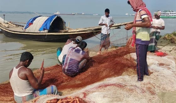 ২২ দিনের নিষেধাজ্ঞা শেষ: রুপালি ইলিশের সন্ধানে পদ্ম্যা-মেঘনায় নামছেন চাঁদপুরের জেলেরা