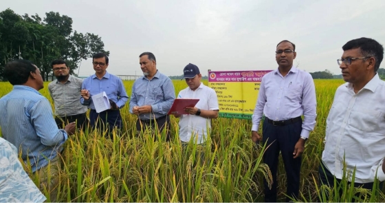 মোহনপুরে খামারি অ্যাপসের মাধ্যমে  সার সুপারিশ কার্যক্রম পরিদর্শন
