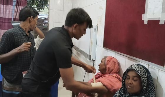 মেহেরপুরে শেয়ালের কামড়ে আহত ১১