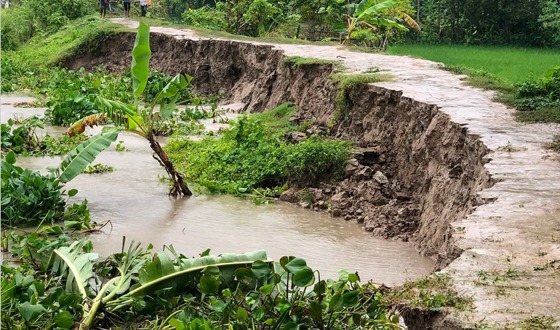বাবুগঞ্জে নদীগর্ভে বিলীনের পথে বেড়িবাঁধ, বিচ্ছিন্ন হওয়ার শঙ্কায় দুই গ্রামের যোগাযোগ