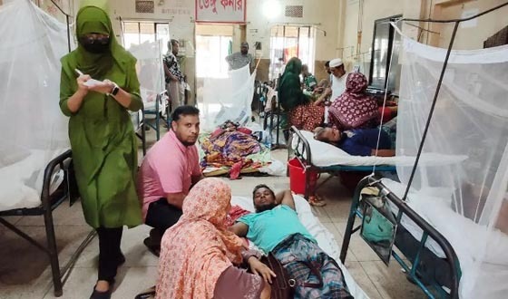 বরিশালে চোখ রাঙ্গাচ্ছে ডেঙ্গু রোগী, আক্রান্ত ৬৫৬০ জন, নয়জনের মৃত্যু