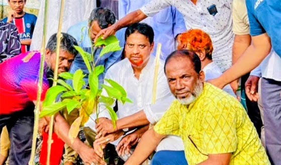 চাঁদপুর পৌর ১১নং ওয়ার্ডে বিএনপির বৃক্ষরোপণ কর্মসূচি