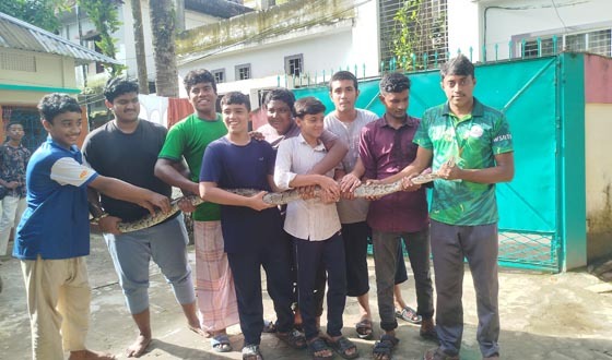 চা-বাগান থেকে লোকালয়ে অজগর, আতঙ্কের পর নিরাপদে উদ্ধার