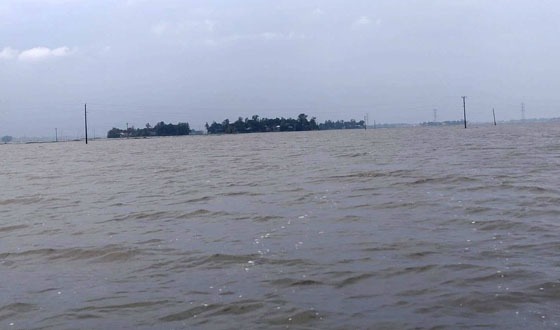 বর্ষায় অপরূপ সাজে চলনবিল