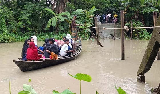 তালতলীতে সেতু ভেঙে যোগাযোগ বিচ্ছিন্ন, নৌকায় পার হচ্ছে শিক্ষার্থীরা
