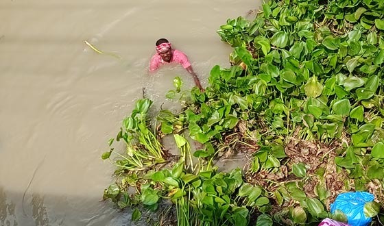 চন্দনা নদীর কচুরিপানা অপসারণ, স্বস্তিতে জনগণ