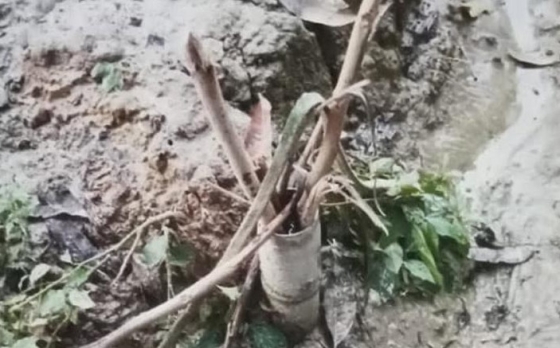 তানোরে পানির পাম্প ভাঙচুর ও  ৩ পরিবারকে মারধরের অভিযোগ