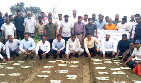কাহারোল কান্তা ফার্মের আখের চারা রোপনের শুভ উদ্বোধন