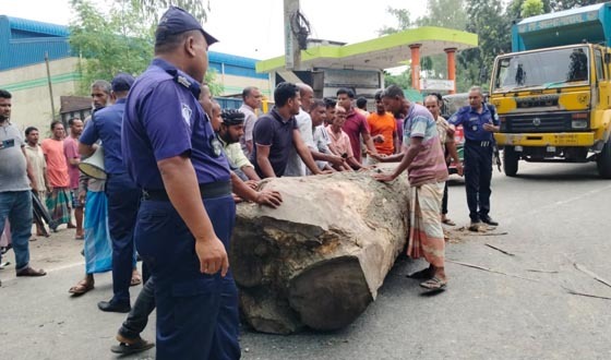 লালমনিরহাটে সারের দাবিতে রংপুর-বুড়িমারী মহাসড়ক অবরোধ