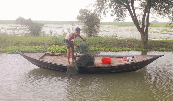 চায়না দুয়ারি ও বেড় জালে সয়লাব সুজানগরের গাজনার বিল