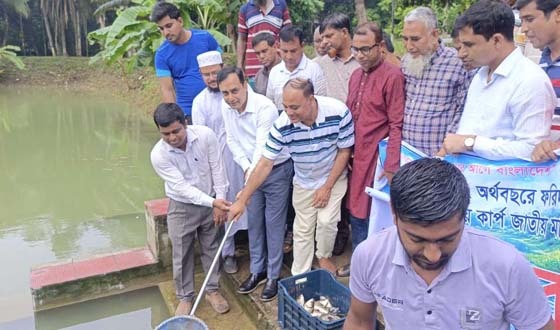 মধুখালীতে উন্মুক্ত ও প্রাতিষ্ঠানিক জলাশয়ে কার্পজাতীয় মাছের পোনা অবমুক্ত