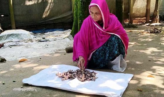 জর্দার কৌটায় জমানো ১০ বছরের সঞ্চয়, সব শেষ