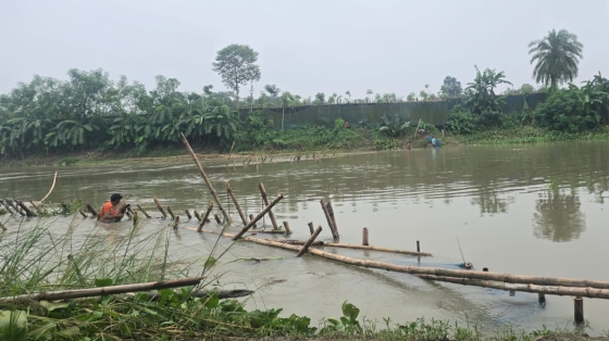 বাগমারায় নদীতে ভ্রাম্যমান আদালতের অভিযানে অবৈধ সুতি জালের বাঁধ উচ্ছেদ