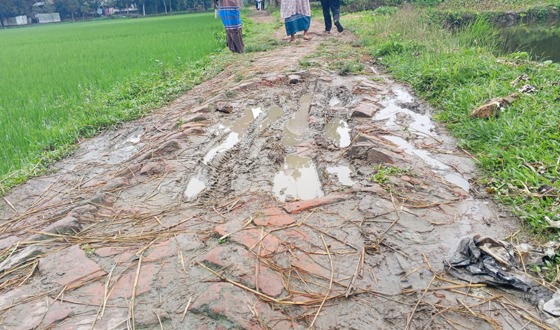 হোসেনপুরে বেহাল সড়কে জনগণের ভোগান্তি