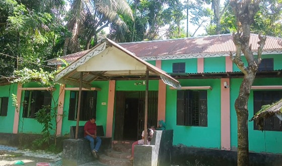 মোল্লাহাটে টিনের চাল খুলে ঘরে চুরি, হত্যাচেষ্টার অভিযোগ গৃহকর্তার