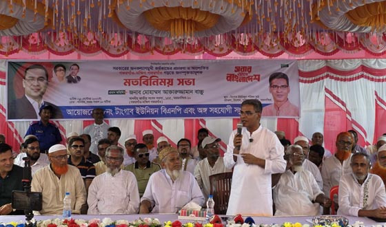 দেশের বিদ্যুৎ, সার, শিক্ষাসহ সব খাতের উন্নয়নের চেষ্টা চলছে: এমপি বাচ্চু