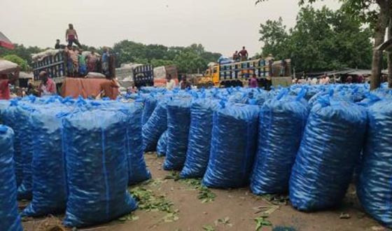 পাইকারী ক্রেতা শুন্য চৌগাছা কাচাবাজার, কৃষকের মাথায় হাত