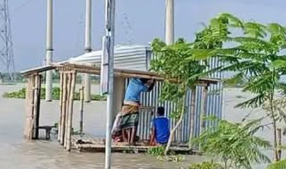 দৌলতপুরে পদ্মা নদীতে অস্বাভাবিক ভাবে বন্যার পানিবৃদ্ধি