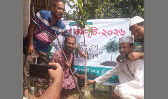 শ্রীউলায় জামায়াতের যুব বিভাগের বৃক্ষরোপণ কর্মসূচি পালন