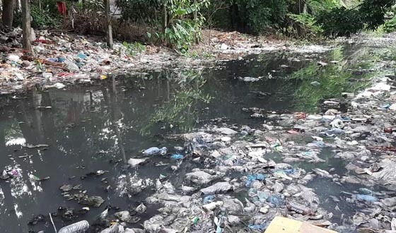 টরকী-বাশাইল খাল খননের উদ্যোগ গ্রহণ করেছে প্রশাসন