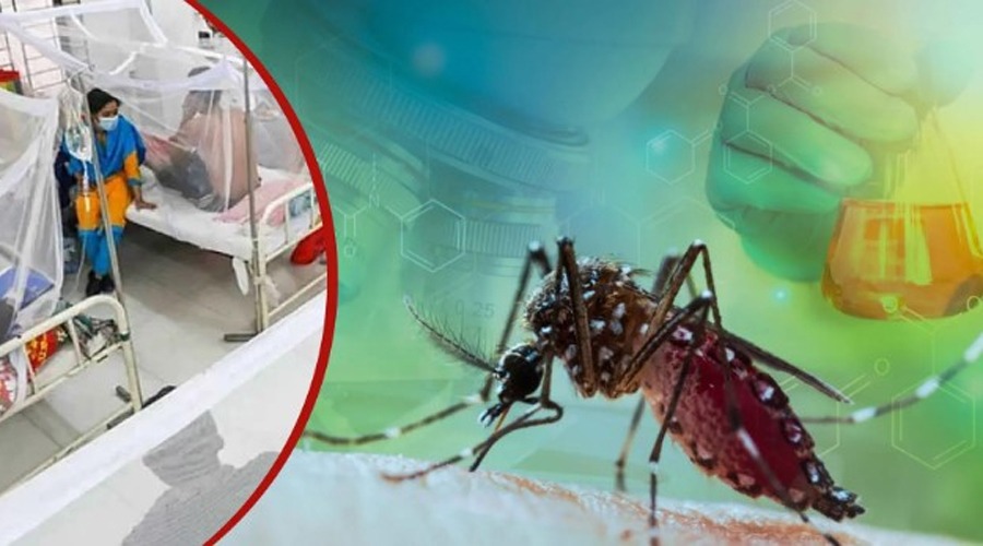 ডেঙ্গু নিয়ে একদিনে হাসপাতালে ভর্তি ৭৪৭
