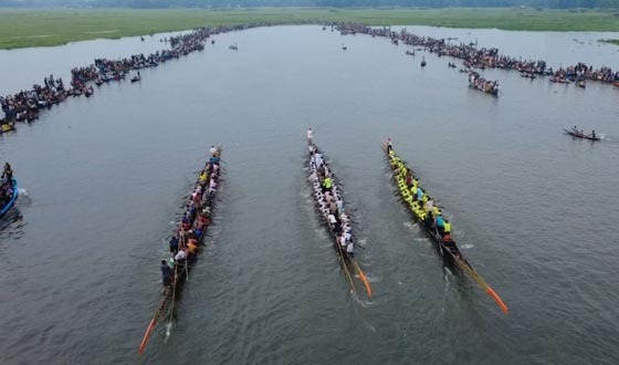 বৈঠার ছন্দে বাঘিয়ার বিলে নৌকাবাইচ, উৎসবে মেতেছে হাজারো মানুষ