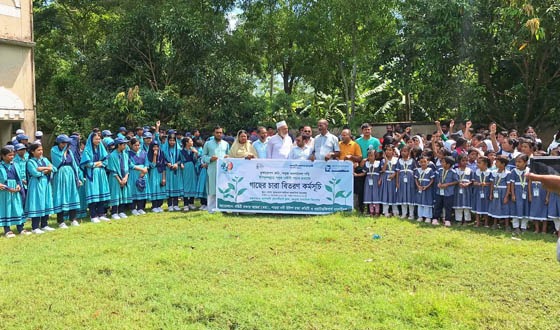 তালতলীতে শিক্ষার্থীদের মাঝে গাছের চারা বিতরণ