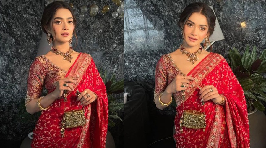 লাল শাড়িতে নজর কাড়লেন তানজিন তিশা