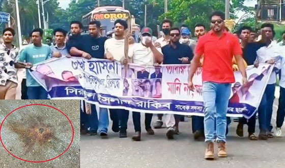 বরিশালে আ.লীগের ঝটিকা মিছিল থেকে পটকা বিস্ফোরন