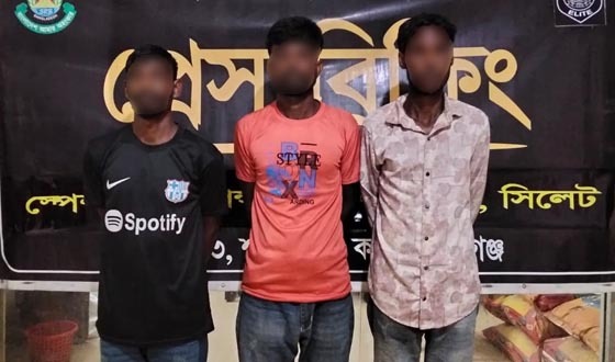 মাধবপুরে ৫০ কেজি গাঁজাসহ আটক ৩