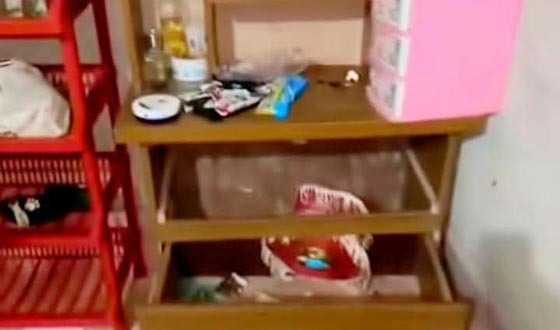 সেনবাগে একরাতে দুই বাড়িতে চুরি
