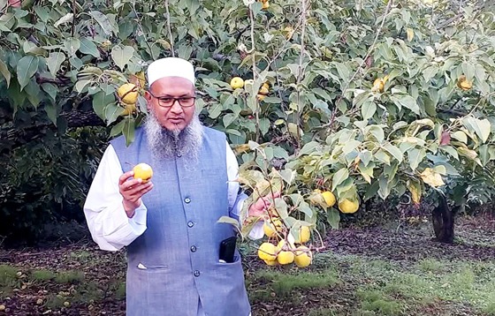 পাহাড়ে সম্ভাবনা বনাম আমাদের সংঘাত: চীনা অভিজ্ঞতা নীলফামারীর হাকীম সবুজ
