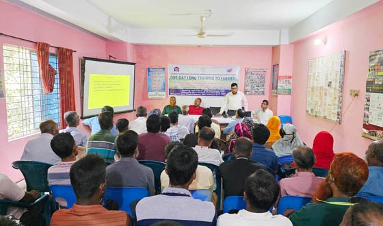 কালীগঞ্জে ধান চাষে পানি সাশ্রয়ের উপর ২৫ কৃষককে প্রশিক্ষণ