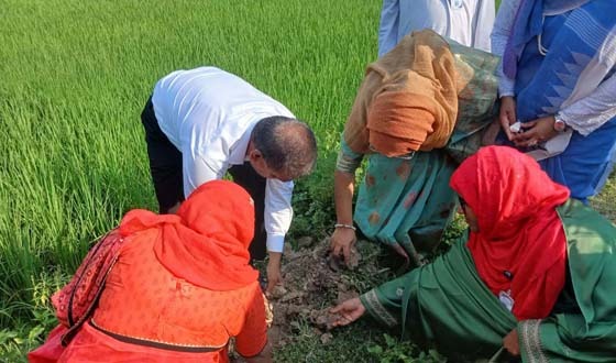 চিরিরবন্দরে বজ্রপাত রোধে তালবীজ রোপণ কর্মসূচির উদ্বোধন