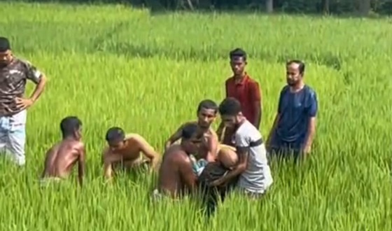 ভালুকায় বিদুৎপৃষ্ট হয়ে দুইজন নিহত