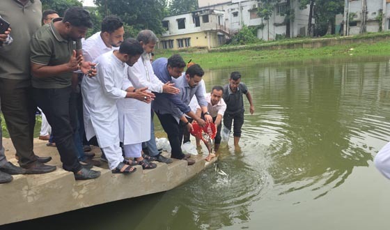 হাটহাজারীতে মাছের পোনা অবমুক্ত করন ও পোনা বিতরণ