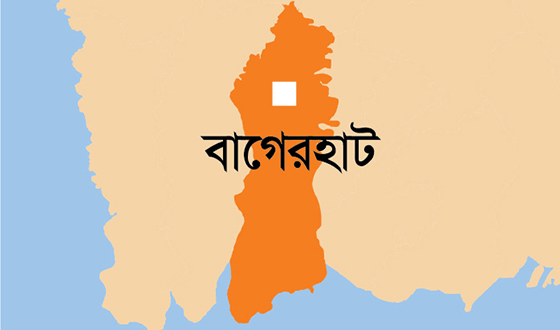 মোল্লাহাটে অষ্টম শ্রেণির ছাত্রীর অস্বাভাবিক মৃত্যু