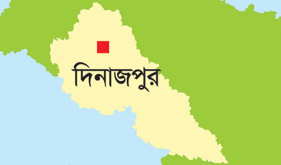ঘোড়াঘাটে সড়ক দূর্ঘটনায় নিহত ১
