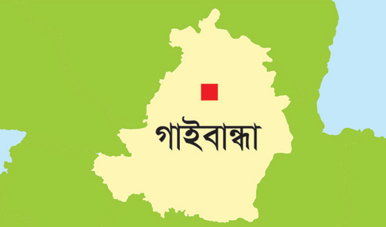 সুন্দরগঞ্জে সার সংকটে কৃষকরা দোকানে ছুটছে