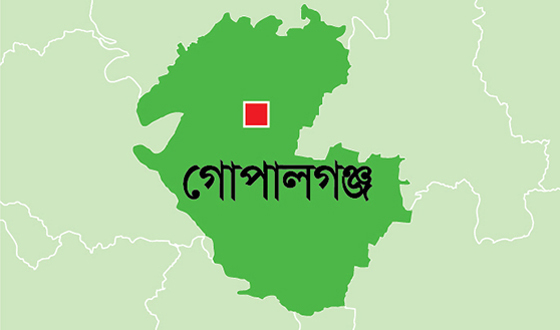 মুকসুদপুরে পানিতে ডুবে কিশোরীর মৃত্যু