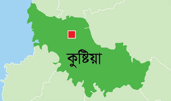 দৌলতপুরে ট্রলির চাকাই পিষ্ট হয়ে স্কুল ছাত্রের মৃত্যু