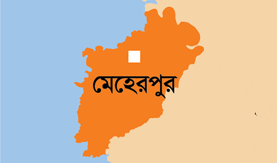 মেহেরপুরে কৃষকের মরদেহ উদ্ধার