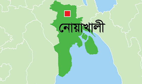 সেনবাগে গলায় ফাঁস দিয়ে দুই সন্তানের জননীর মৃত্যু
