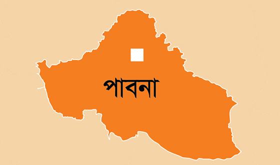 চাটমোহরে সর্প দংশনে বৃদ্ধার মৃত্যু