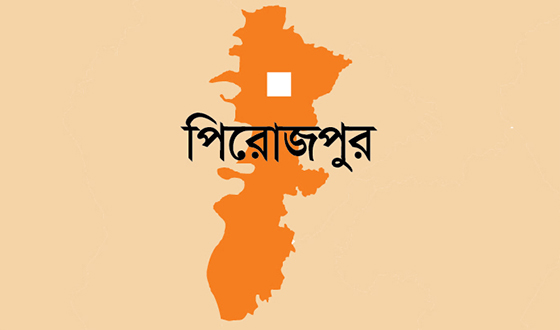 জরাজীর্ণ টিনশেডে কক্ষে কাউখালীর উত্তর নীলতি সমতট মাধ্যমিক বিদ্যালয়ে পাঠদান