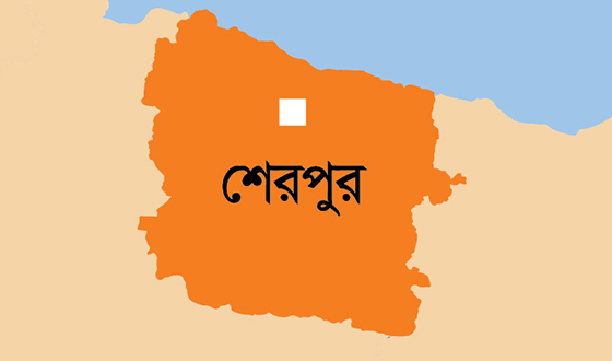 নালিতাবাড়ীতে পানিতে ডুবে শিশুর মৃত্যু