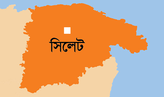 নাগরিক প্রতিনিধিত্বে গঠিত জেলা ও মহানগর সমন্বয় কমিটি