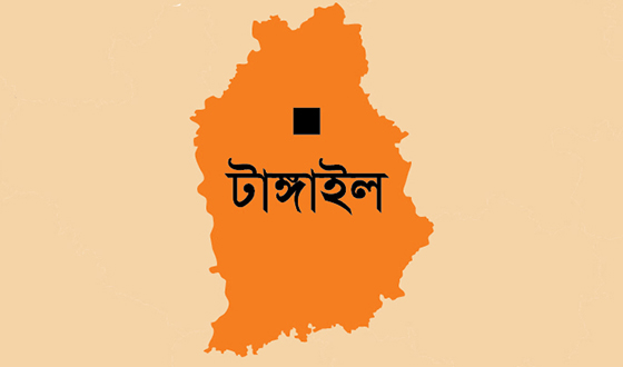 আইনজীবী সাইফুল হত্যায় দেলদুয়ারে প্রতিবাদ সভা