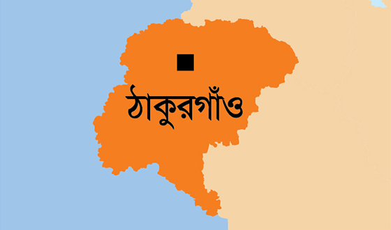 হরিপুরে ১৪ জন বাংলাদেশিকে ফেরত দিয়েছে বিএসএফ