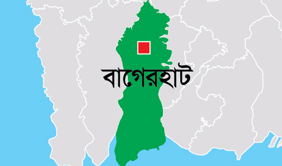 মোল্লাহাটে অষ্টম শ্রেণির ছাত্রীর অস্বাভাবিক মৃত্যু
